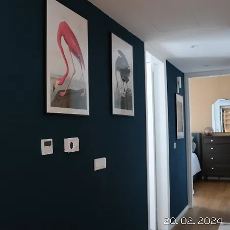 Luxury In The Center Not Old Town *